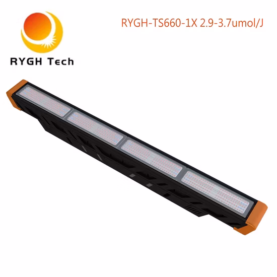 Rygh 2.8